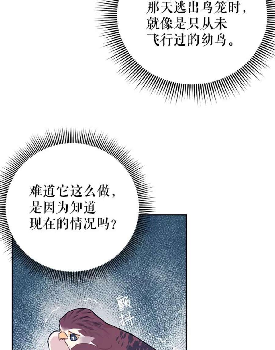 传令鸟公主殿下37.惨遭埋伏