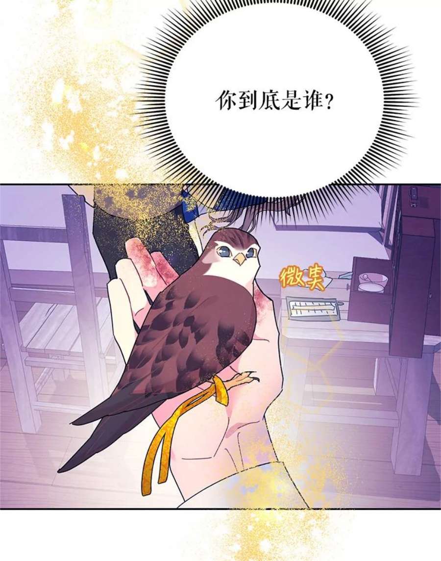 传令鸟公主殿下37.惨遭埋伏