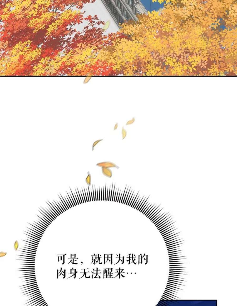 传令鸟公主殿下37.惨遭埋伏