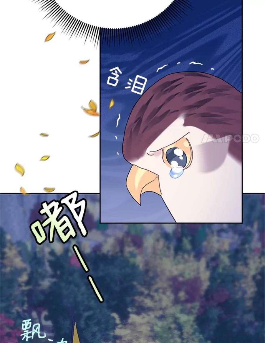 传令鸟公主殿下37.惨遭埋伏