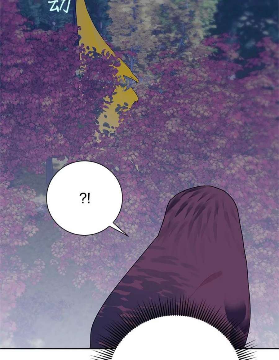 传令鸟公主殿下37.惨遭埋伏