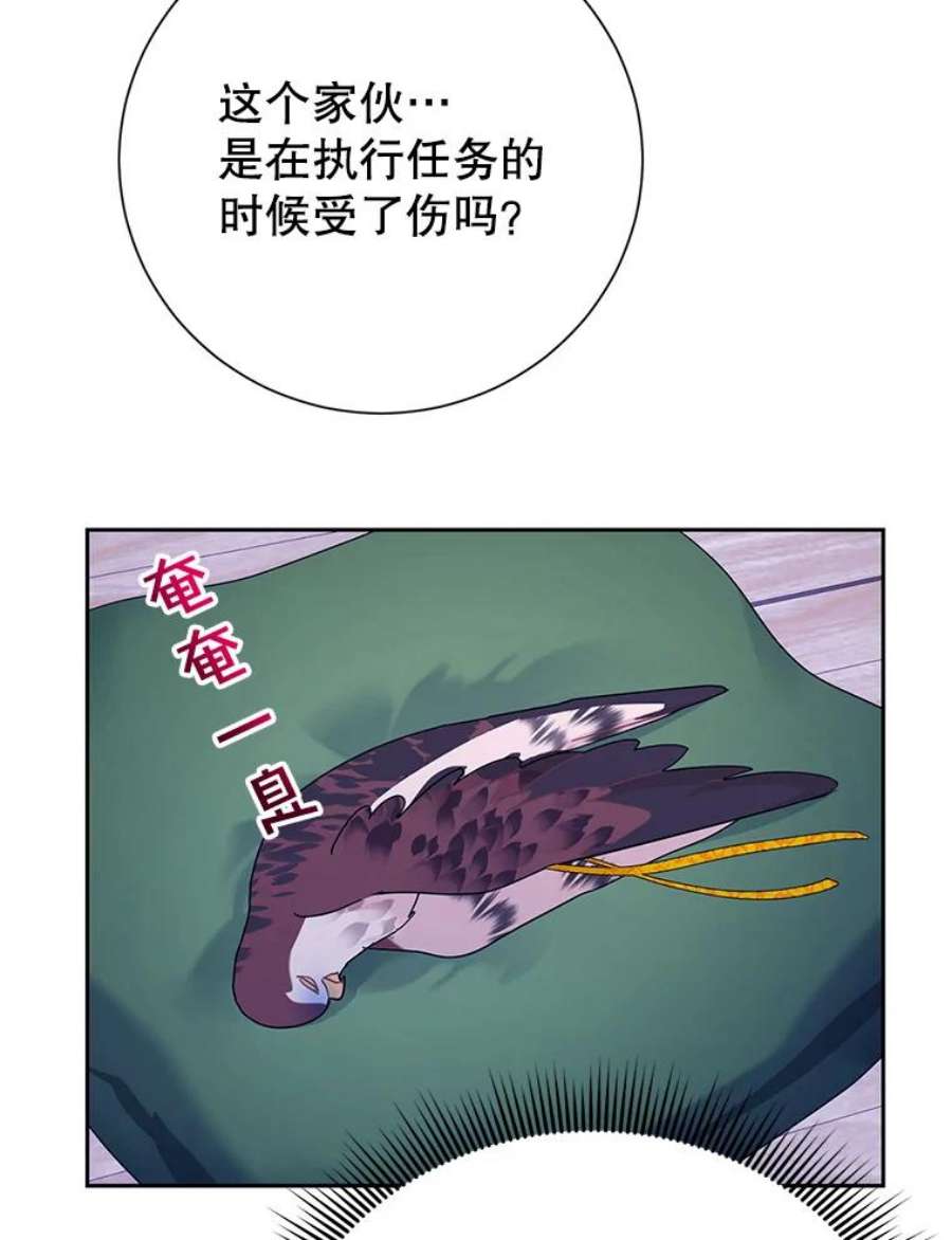 传令鸟公主殿下38.不该放你走！