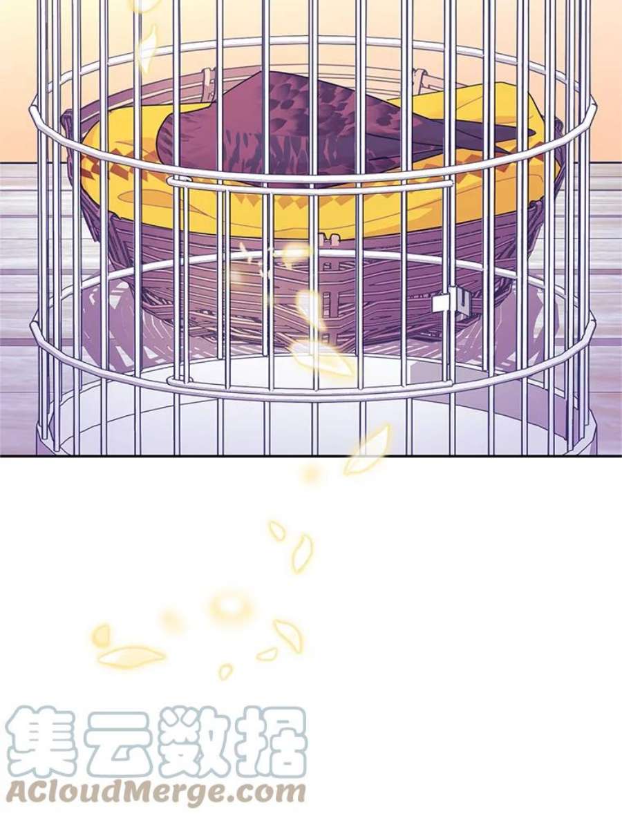 传令鸟公主殿下38.不该放你走！