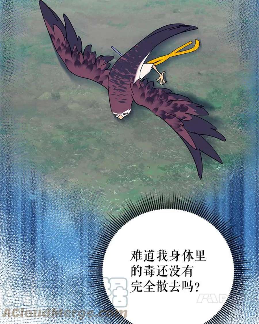 传令鸟公主殿下39.我又变话人了？