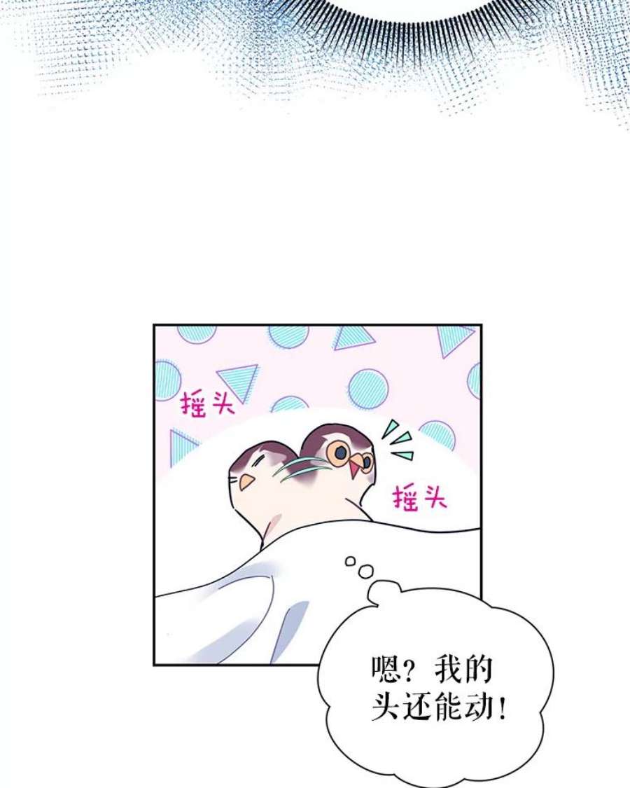 传令鸟公主殿下39.我又变话人了？