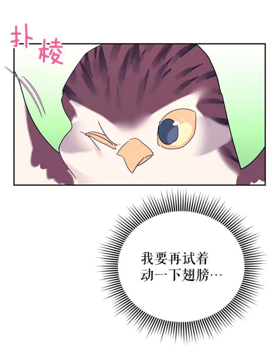 传令鸟公主殿下39.我又变话人了？