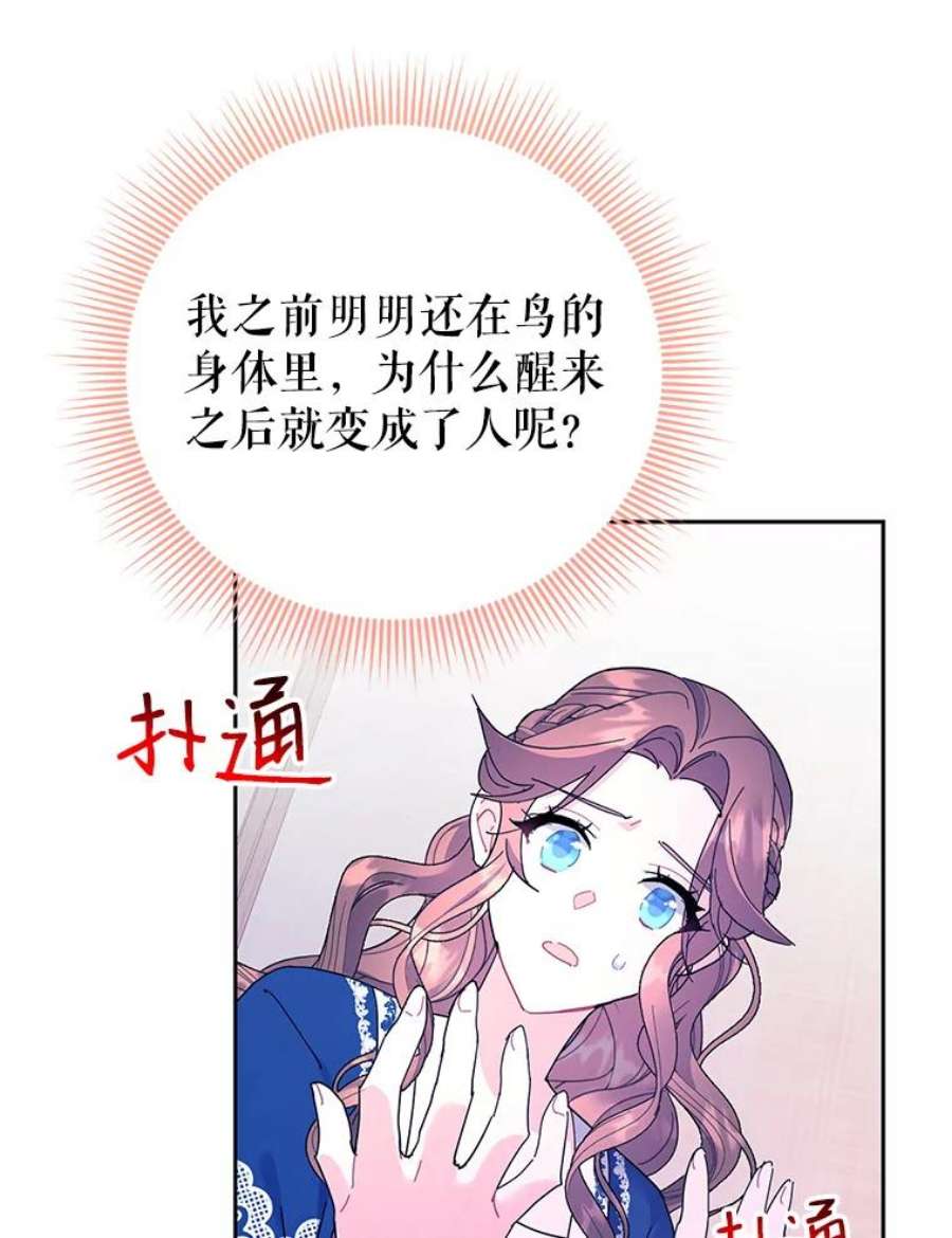 传令鸟公主殿下39.我又变话人了？