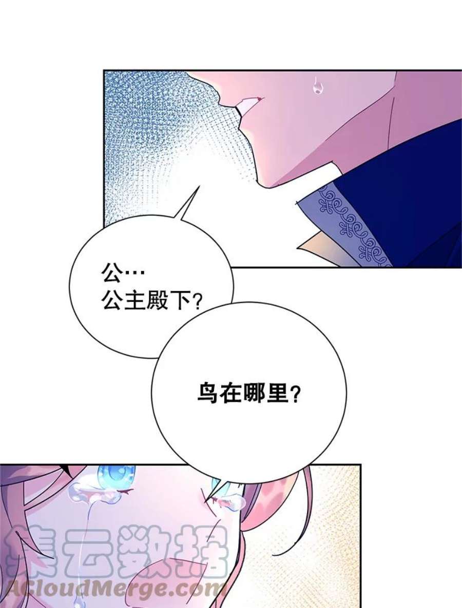传令鸟公主殿下39.我又变话人了？