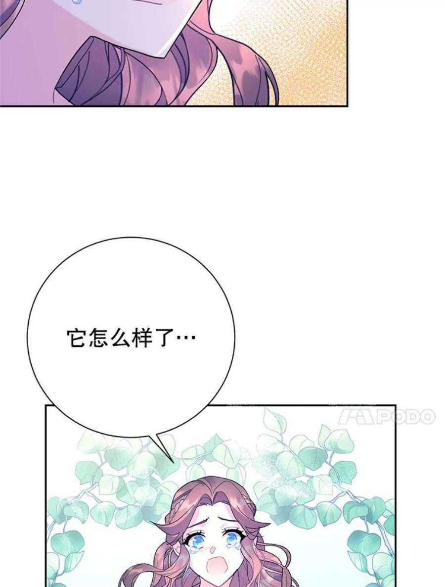 传令鸟公主殿下39.我又变话人了？