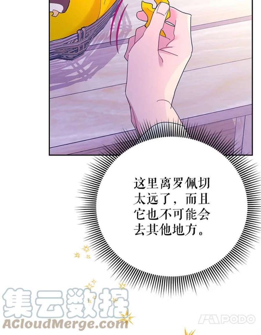 传令鸟公主殿下39.我又变话人了？