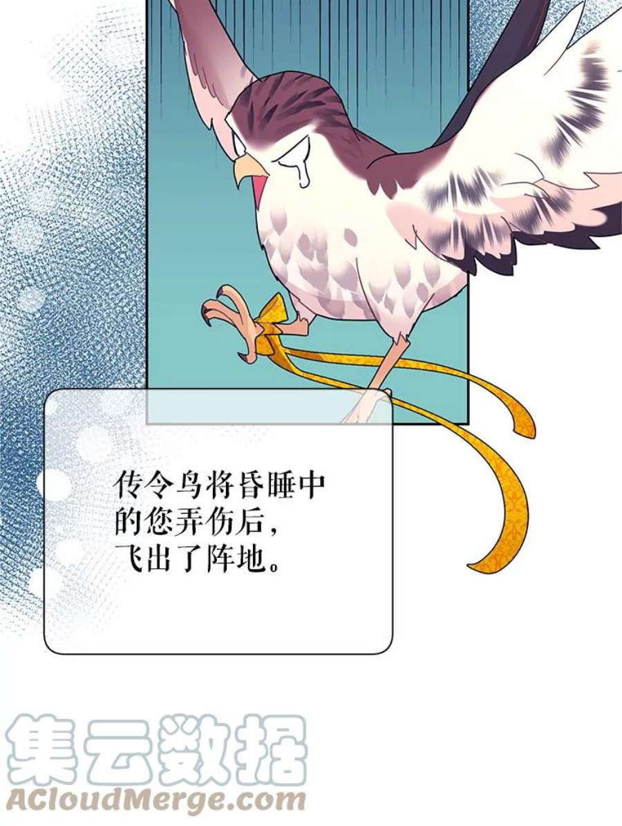 传令鸟公主殿下40.有内奸？！