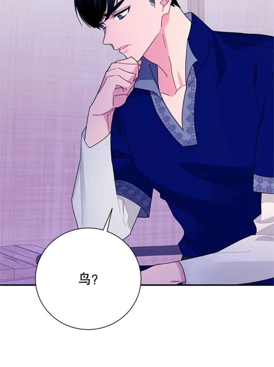 传令鸟公主殿下40.有内奸？！