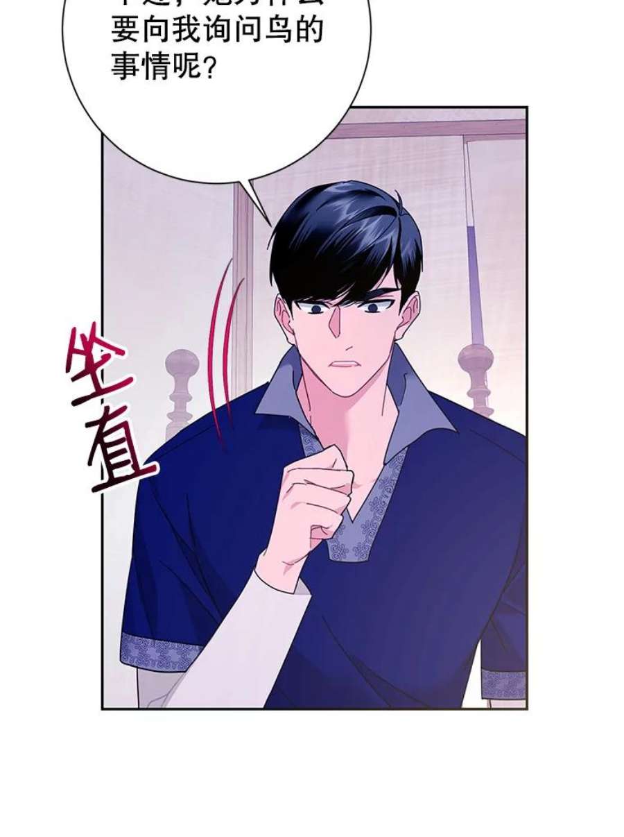 传令鸟公主殿下40.有内奸？！