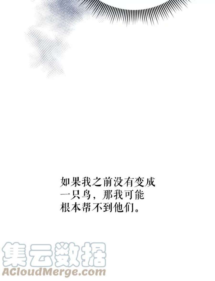 传令鸟公主殿下42.诡异的举止