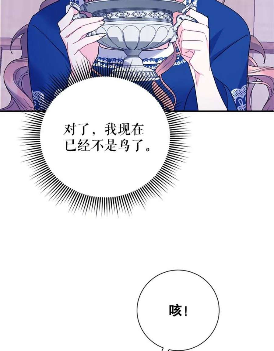 传令鸟公主殿下42.诡异的举止