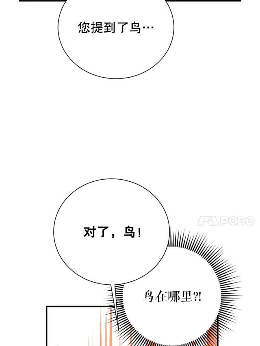 传令鸟公主殿下42.诡异的举止