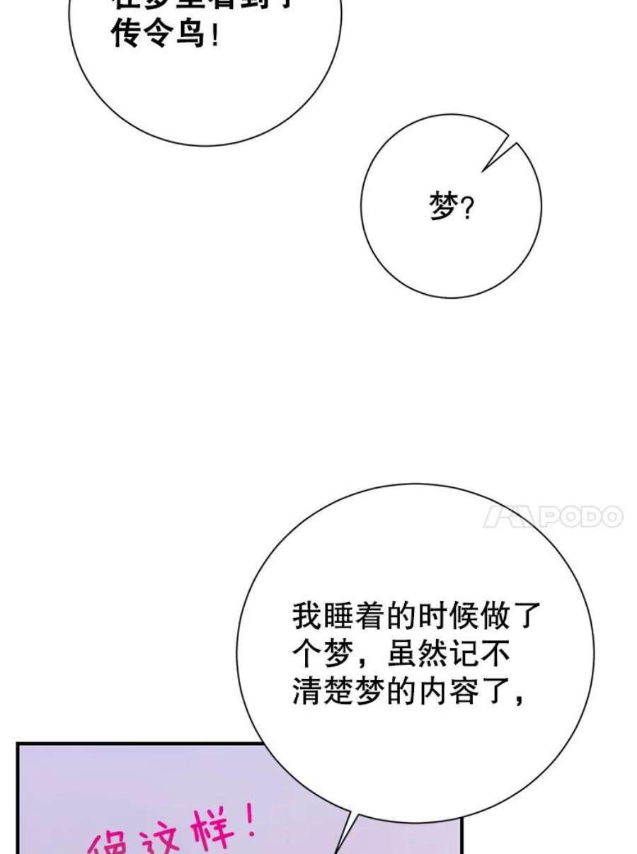 传令鸟公主殿下42.诡异的举止