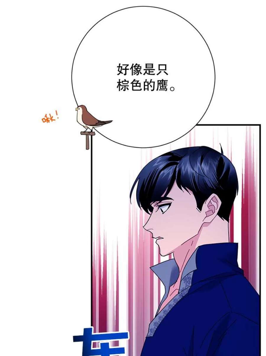 传令鸟公主殿下42.诡异的举止