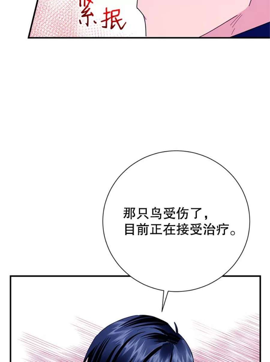 传令鸟公主殿下42.诡异的举止