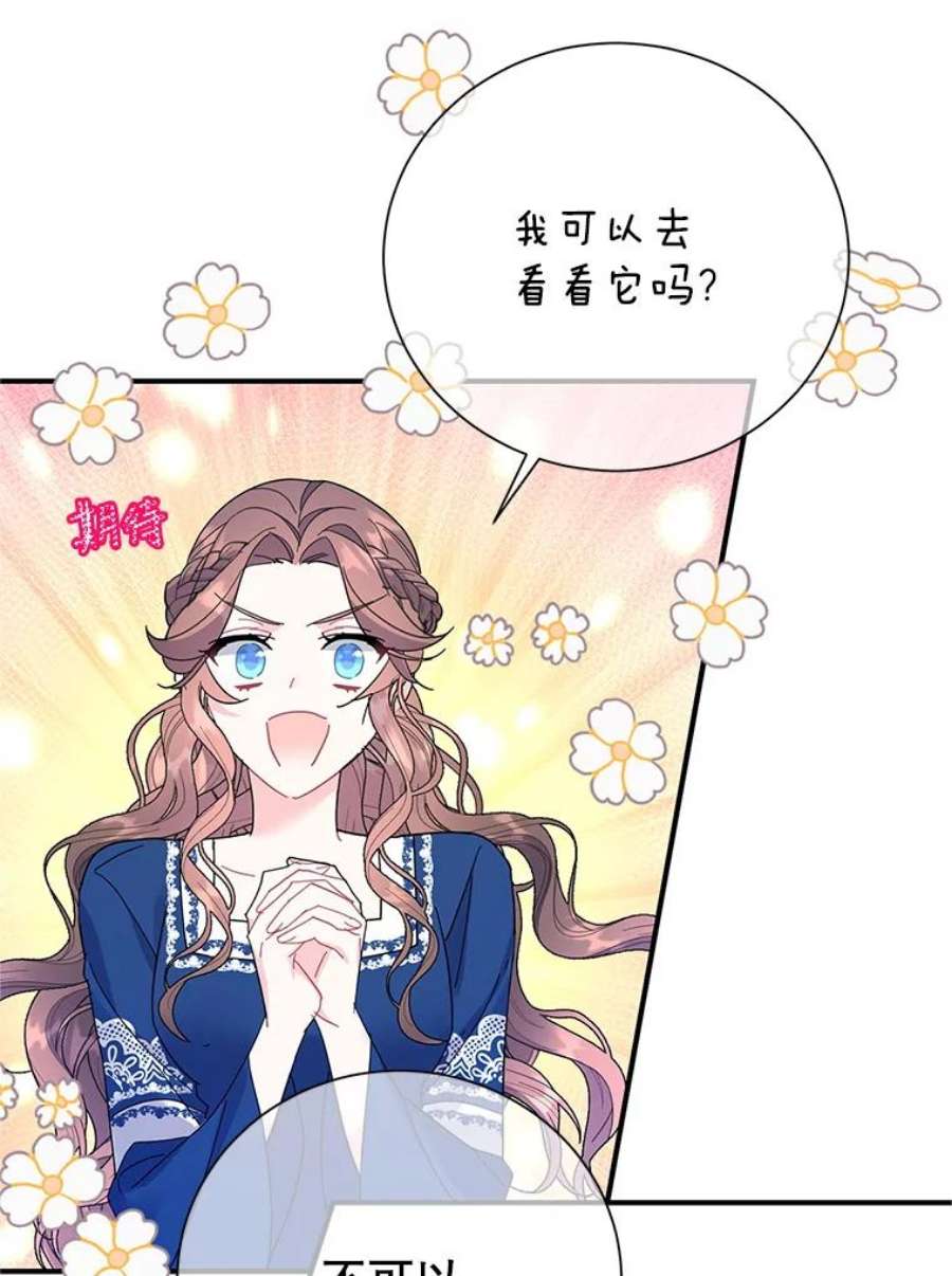 传令鸟公主殿下42.诡异的举止