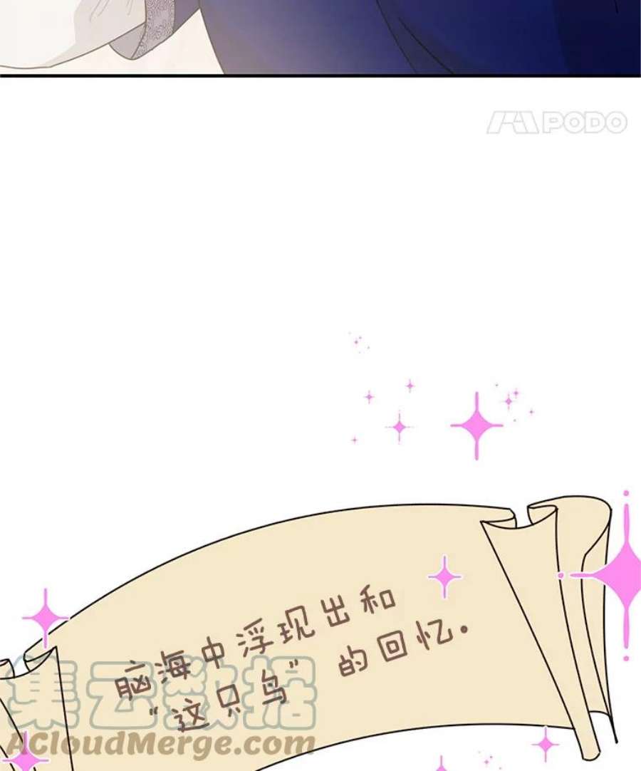 传令鸟公主殿下43.总司令官疯了？！