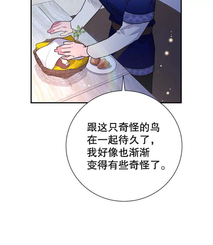 传令鸟公主殿下43.总司令官疯了？！