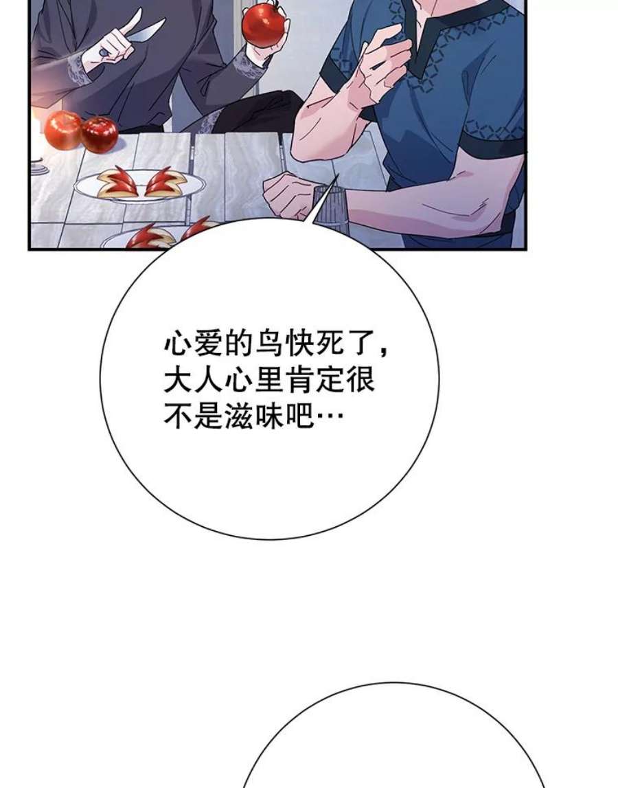 传令鸟公主殿下43.总司令官疯了？！