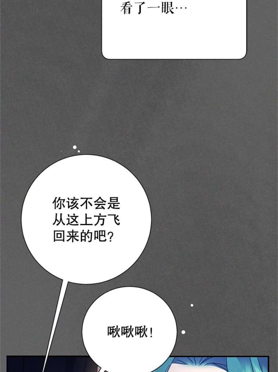 传令鸟公主殿下43.总司令官疯了？！