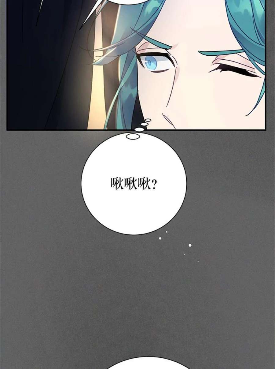 传令鸟公主殿下43.总司令官疯了？！
