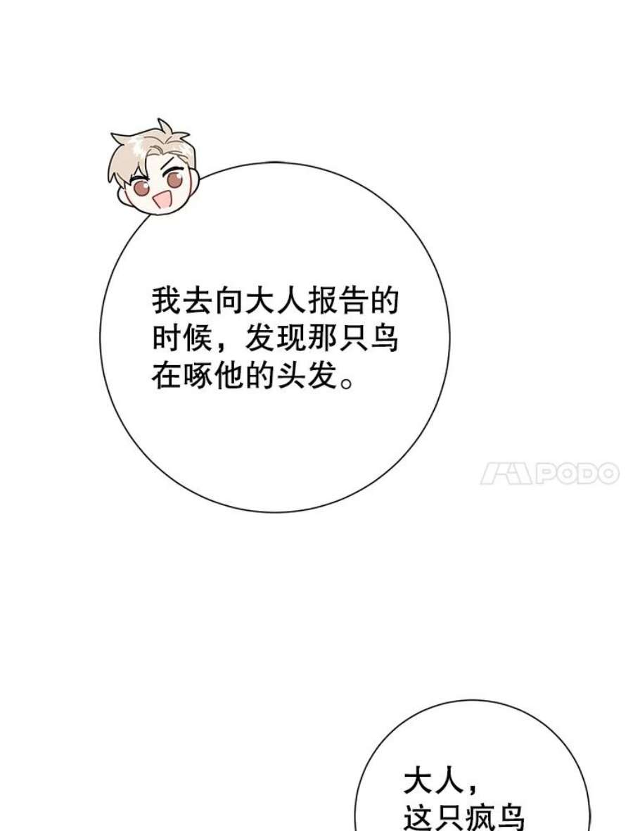传令鸟公主殿下43.总司令官疯了？！
