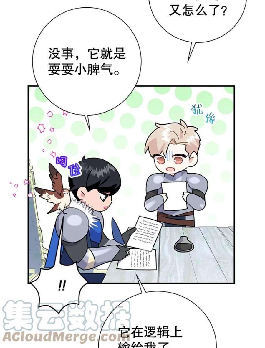 传令鸟公主殿下43.总司令官疯了？！