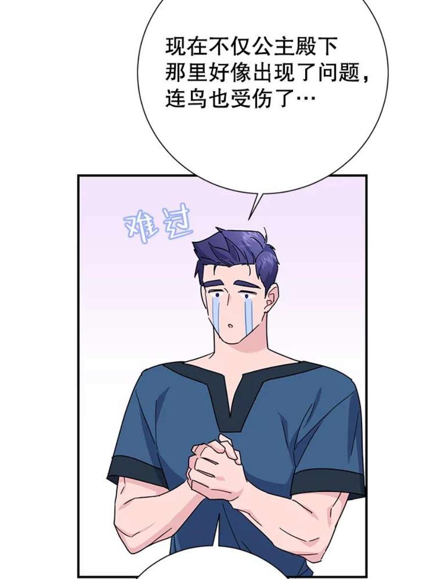 传令鸟公主殿下43.总司令官疯了？！