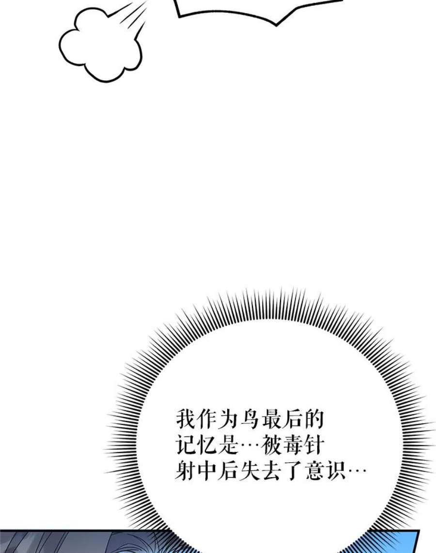 传令鸟公主殿下44.被关起来了