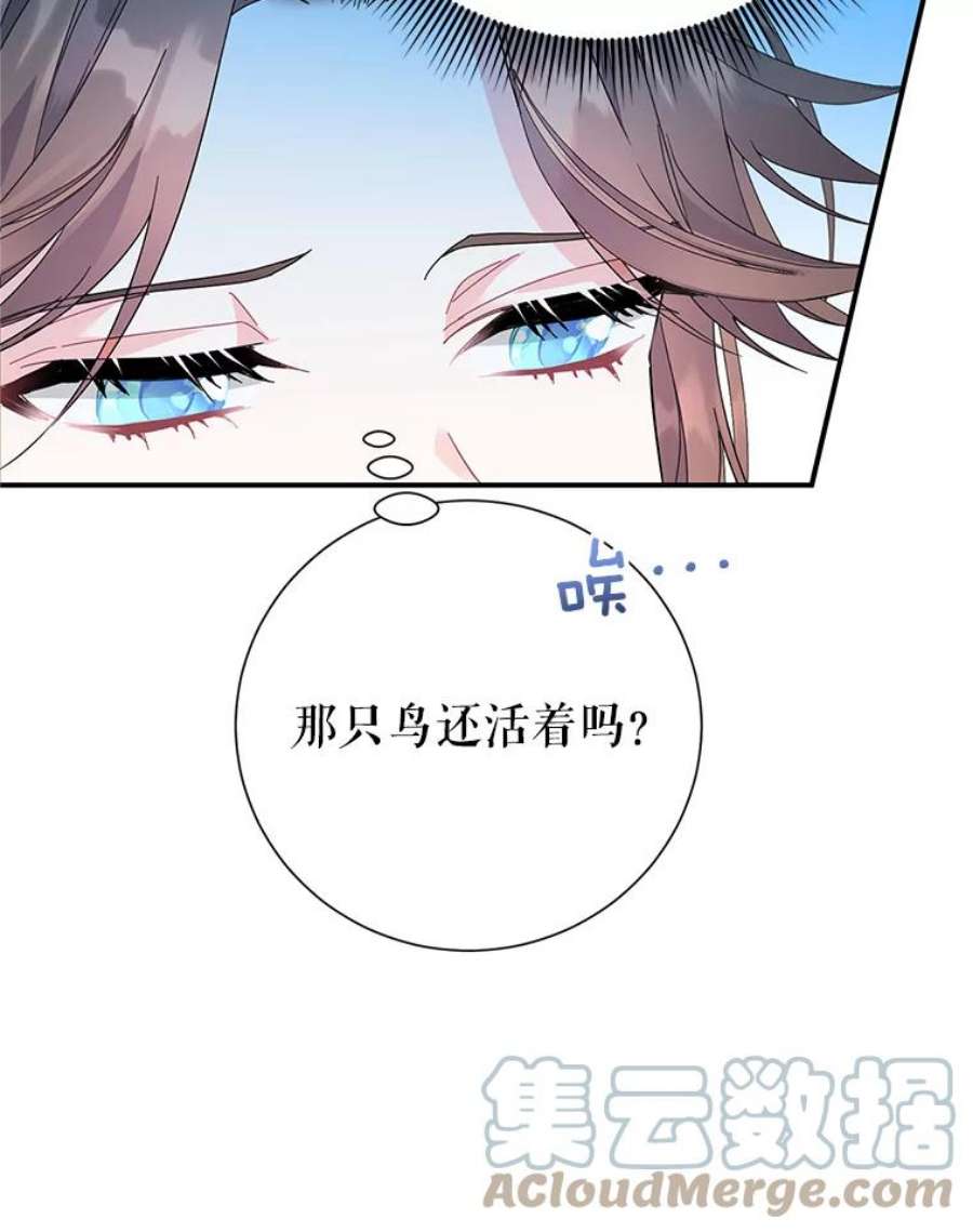 传令鸟公主殿下44.被关起来了