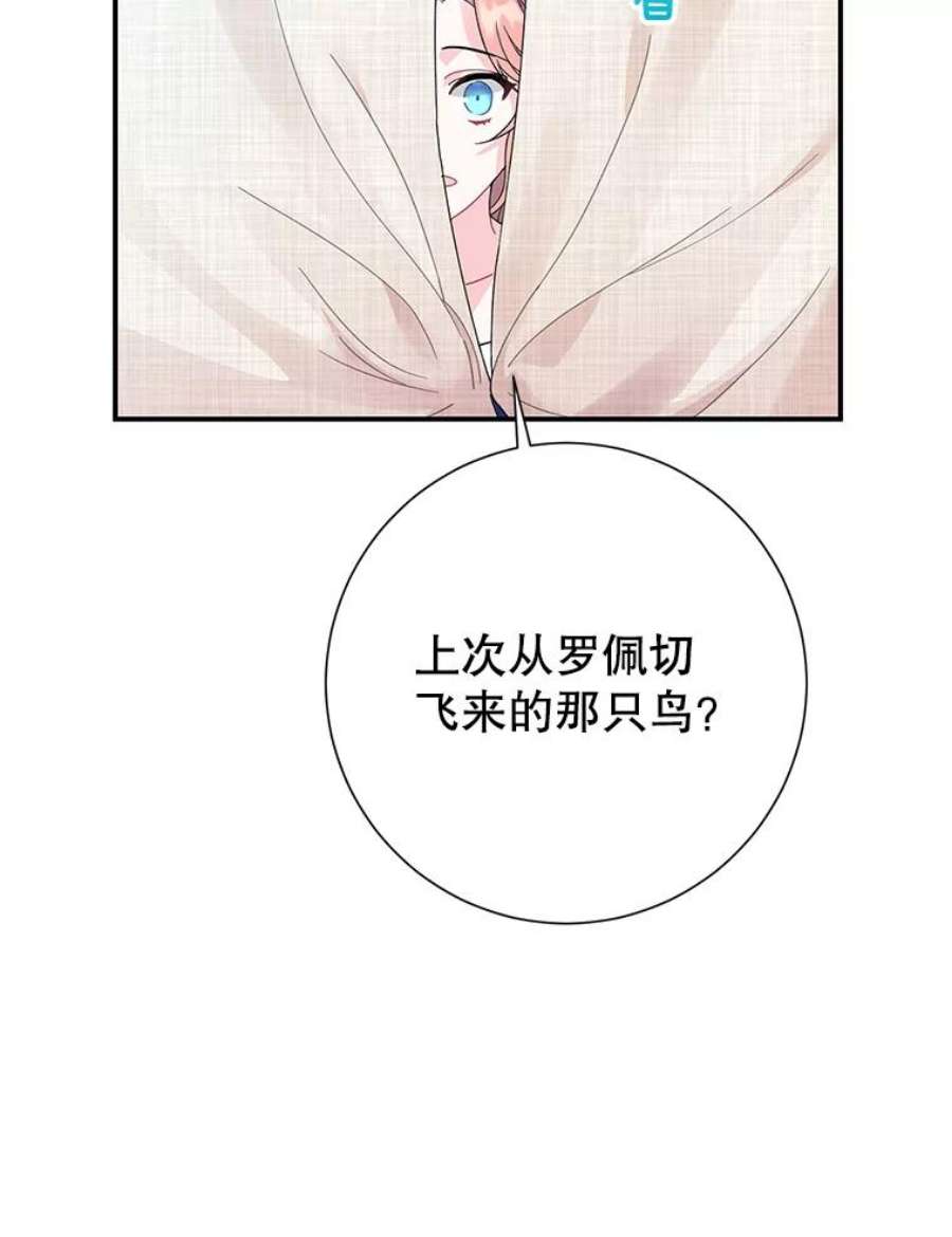 传令鸟公主殿下45.偷看密信