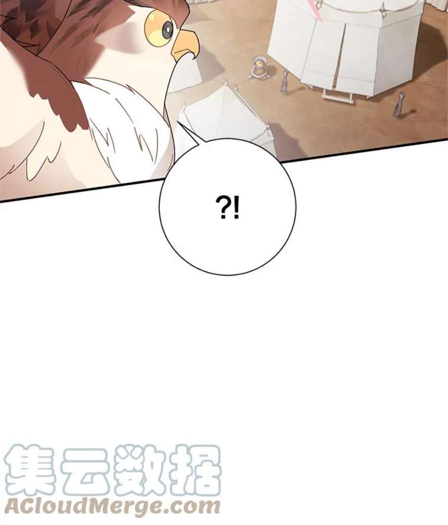 传令鸟公主殿下45.偷看密信