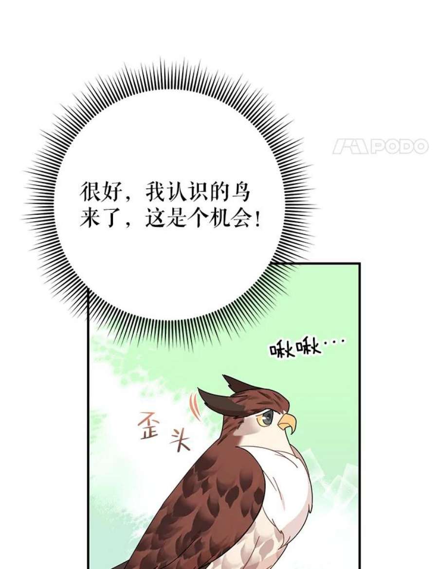 传令鸟公主殿下45.偷看密信