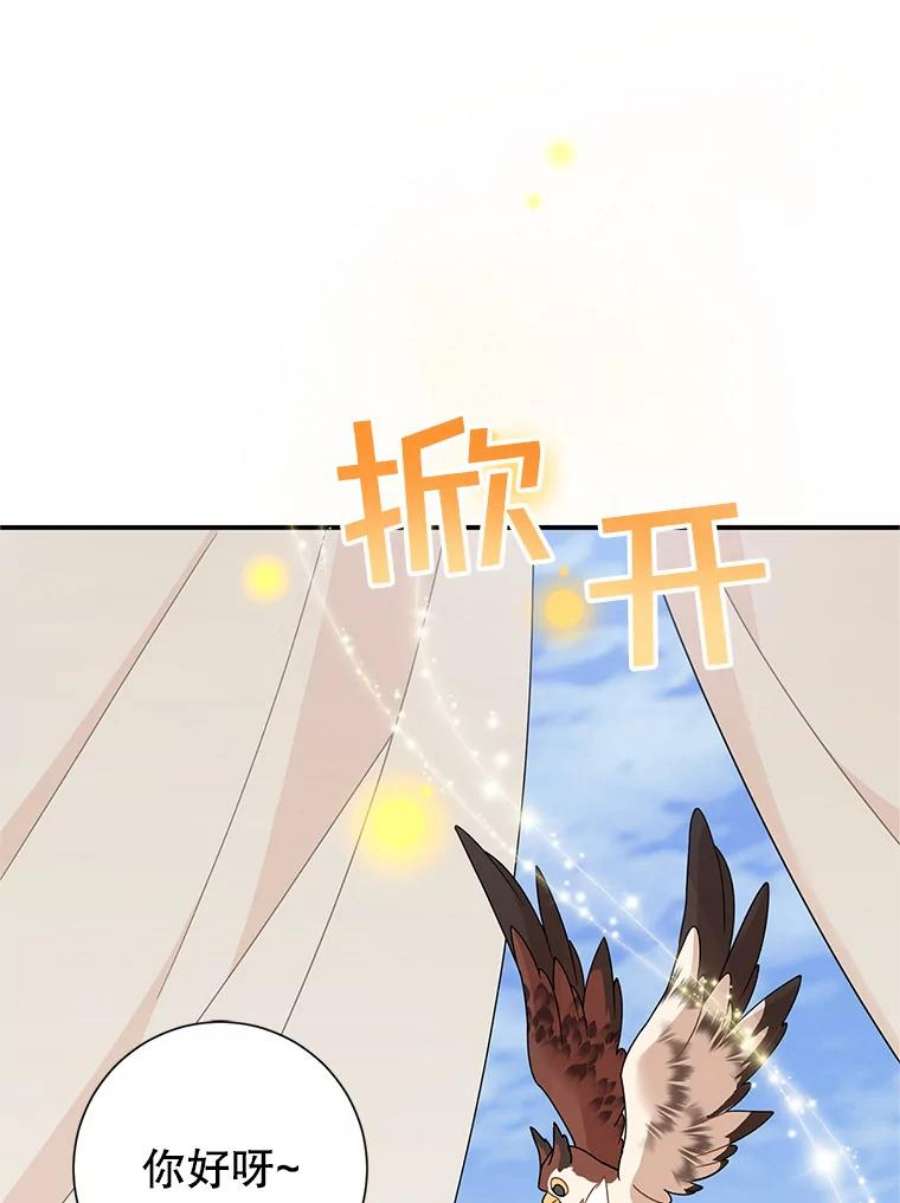 传令鸟公主殿下45.偷看密信