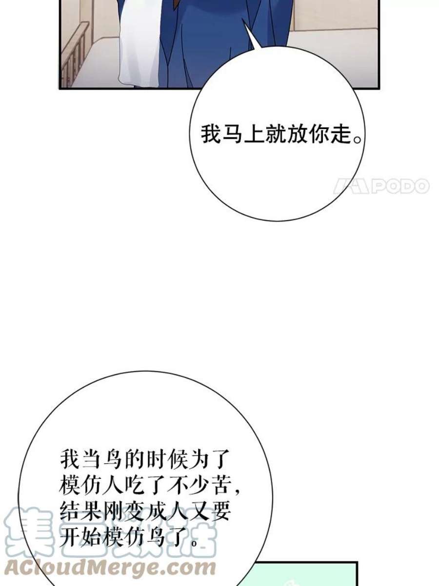 传令鸟公主殿下45.偷看密信