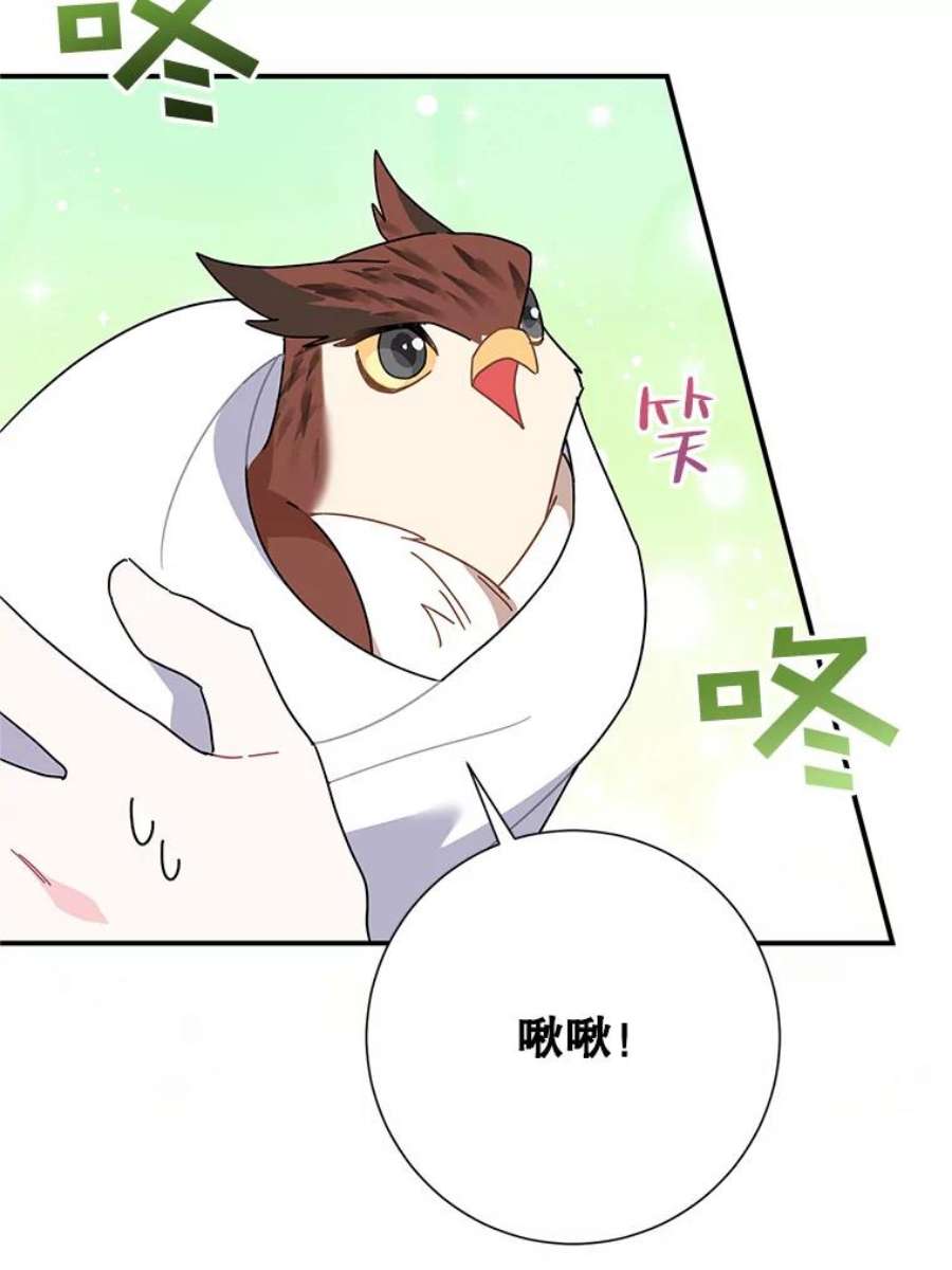 传令鸟公主殿下45.偷看密信