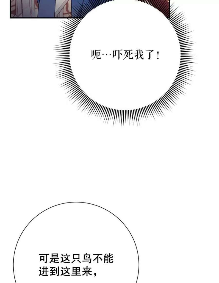 传令鸟公主殿下45.偷看密信