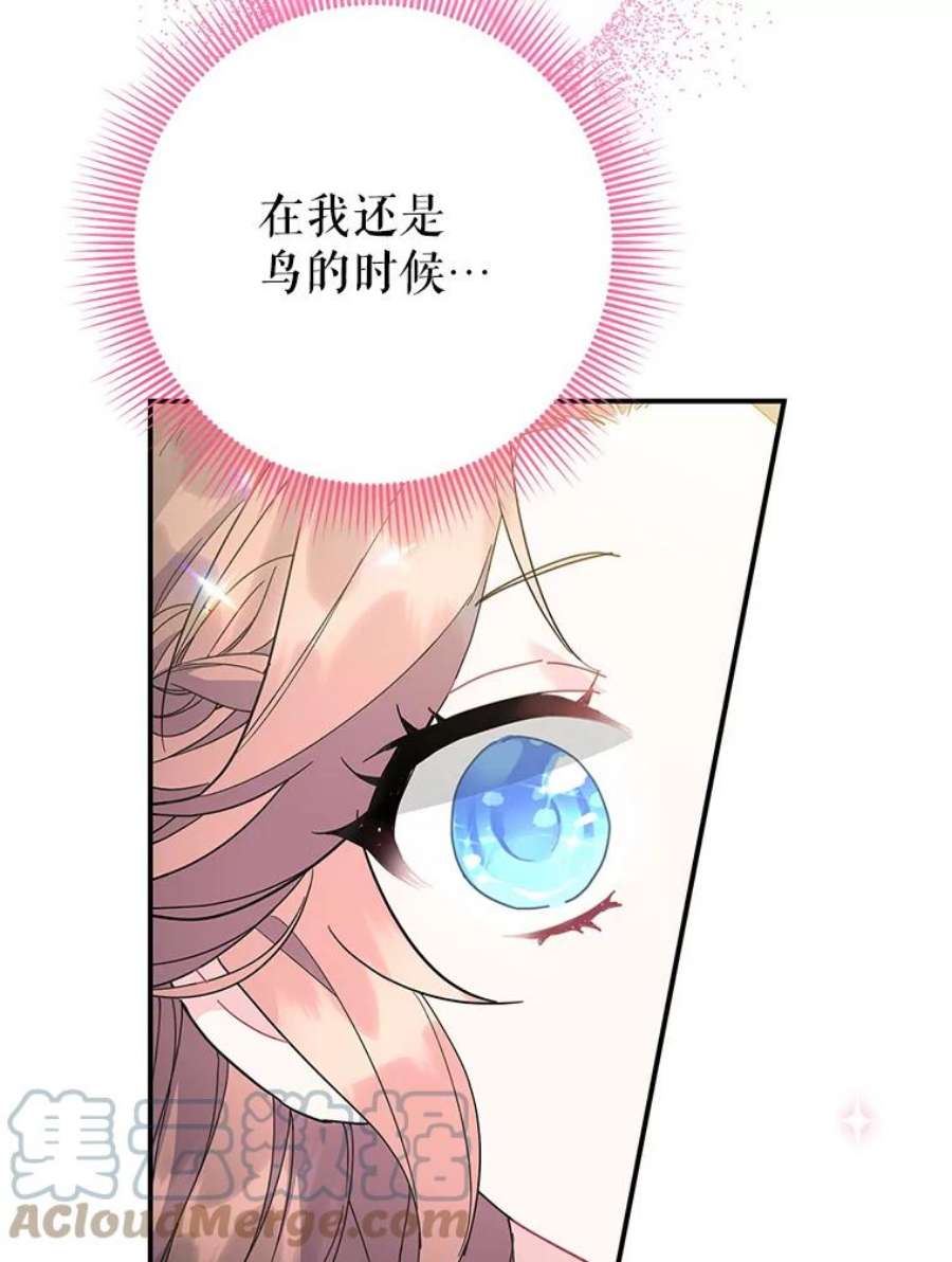 传令鸟公主殿下45.偷看密信