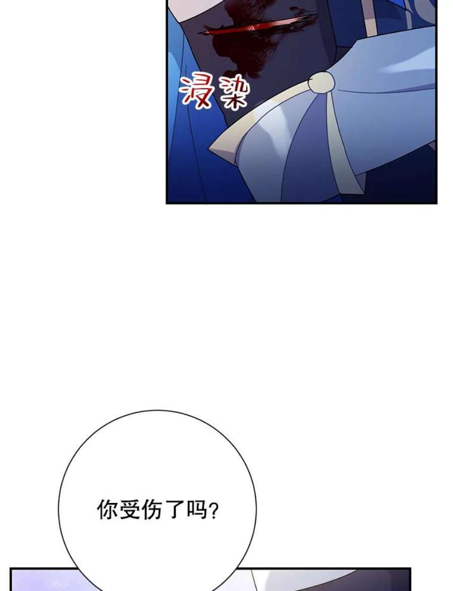 传令鸟公主殿下47.我也要保护你