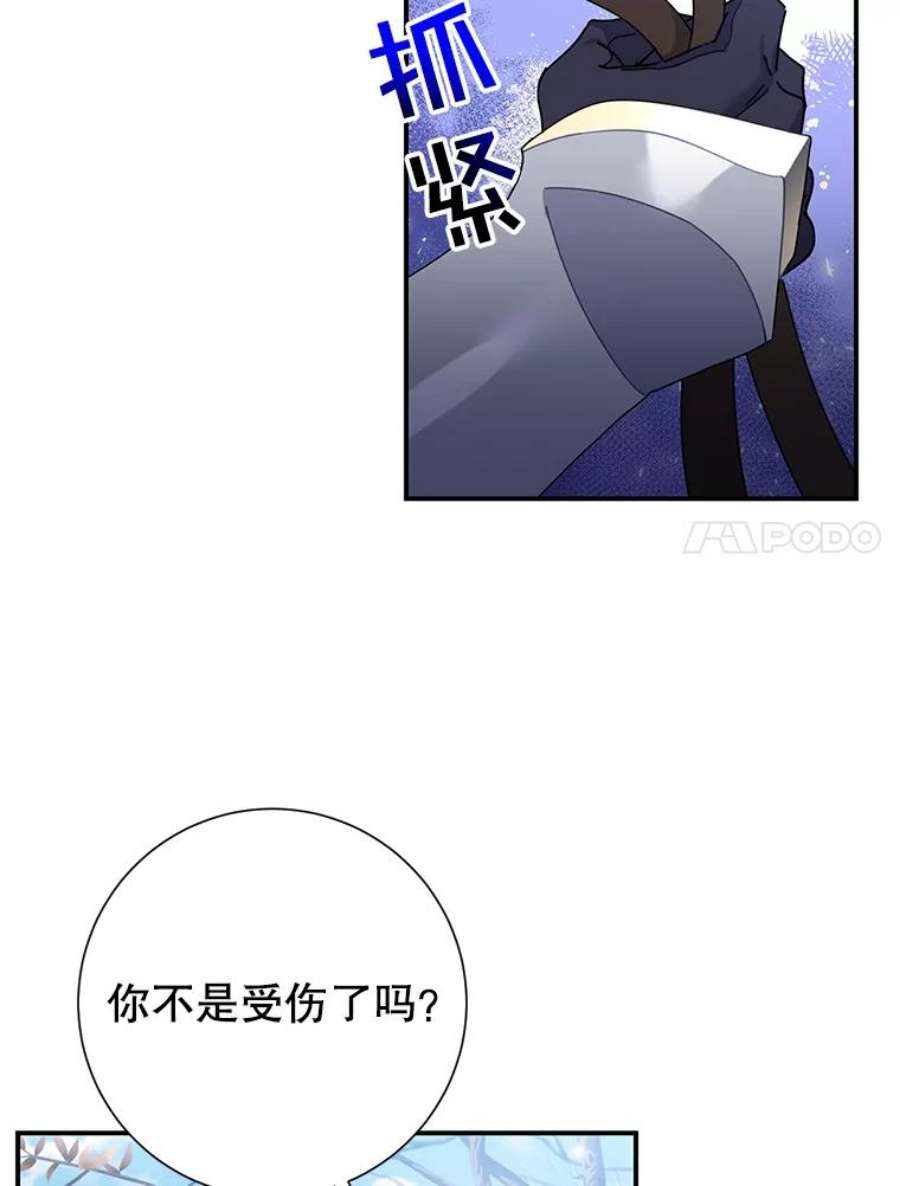传令鸟公主殿下48.分享葡萄