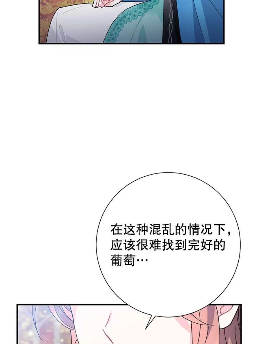 传令鸟公主殿下48.分享葡萄