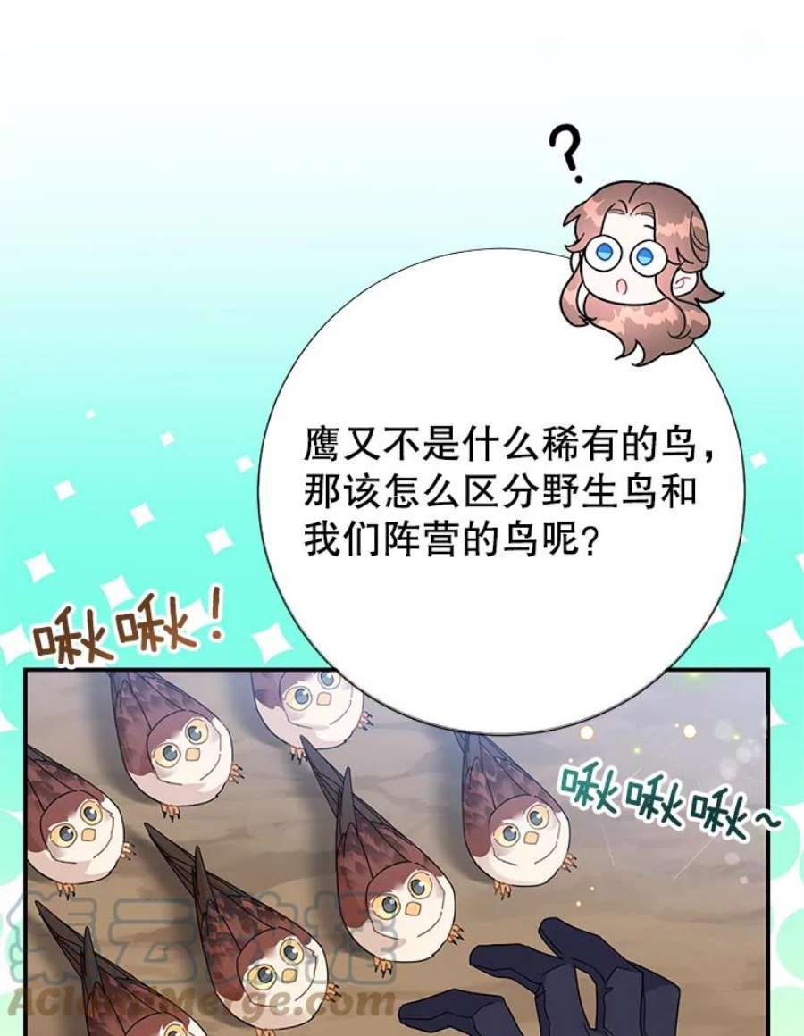 传令鸟公主殿下49.我很担心你