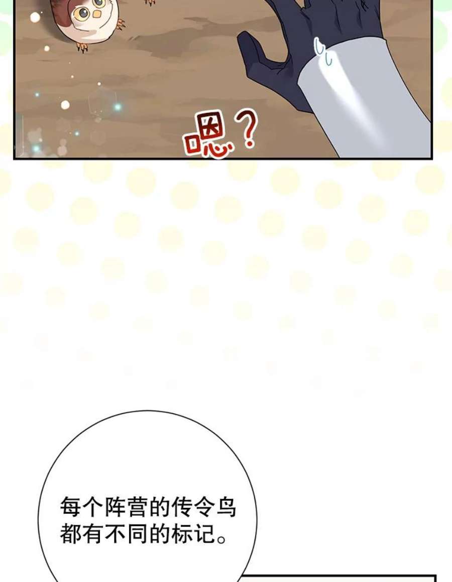 传令鸟公主殿下49.我很担心你