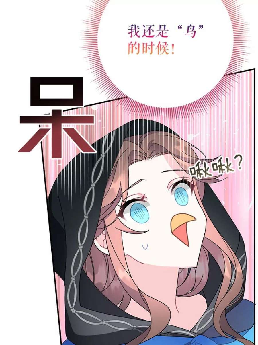 传令鸟公主殿下49.我很担心你