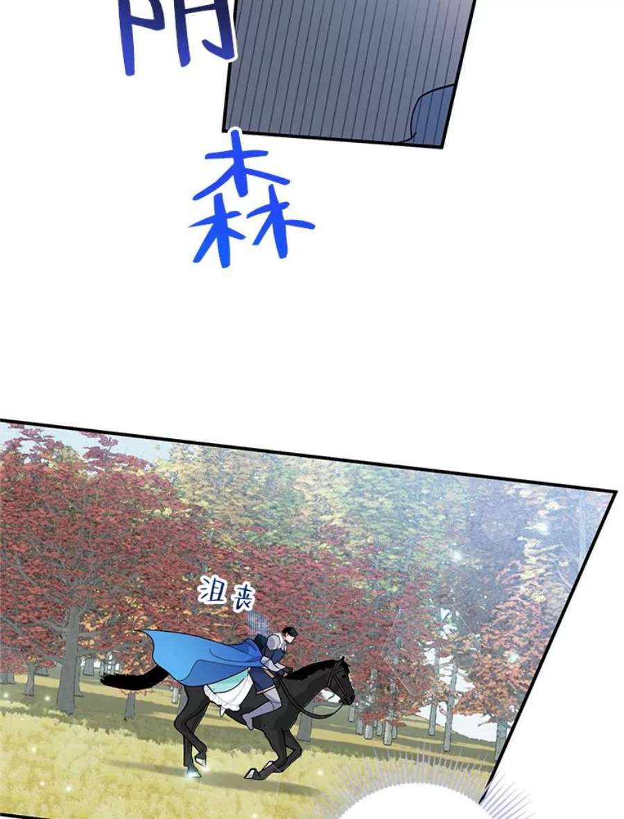 传令鸟公主殿下49.我很担心你