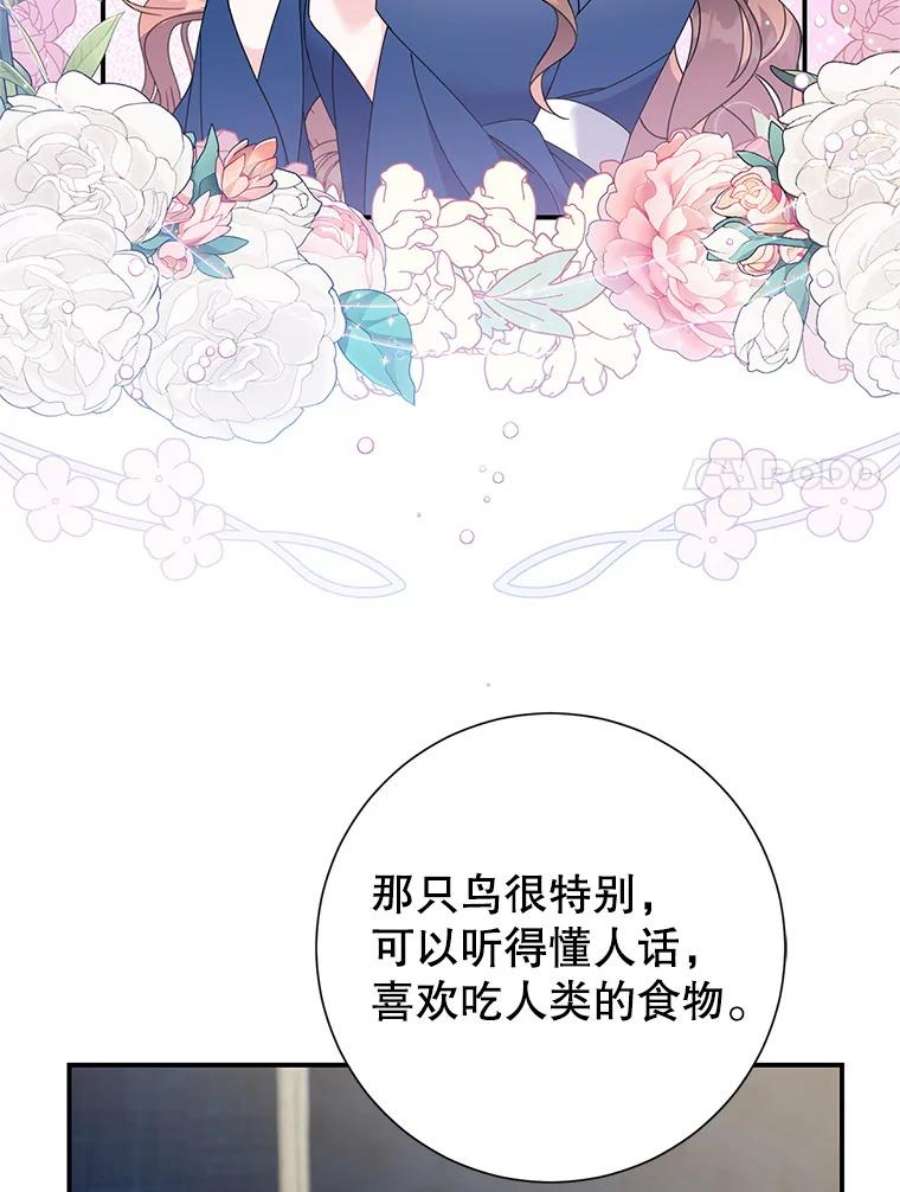 传令鸟公主殿下50.奇怪的公主